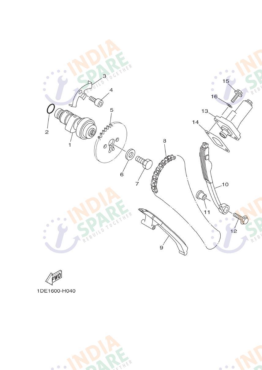 CAMSHAFT & CHAIN